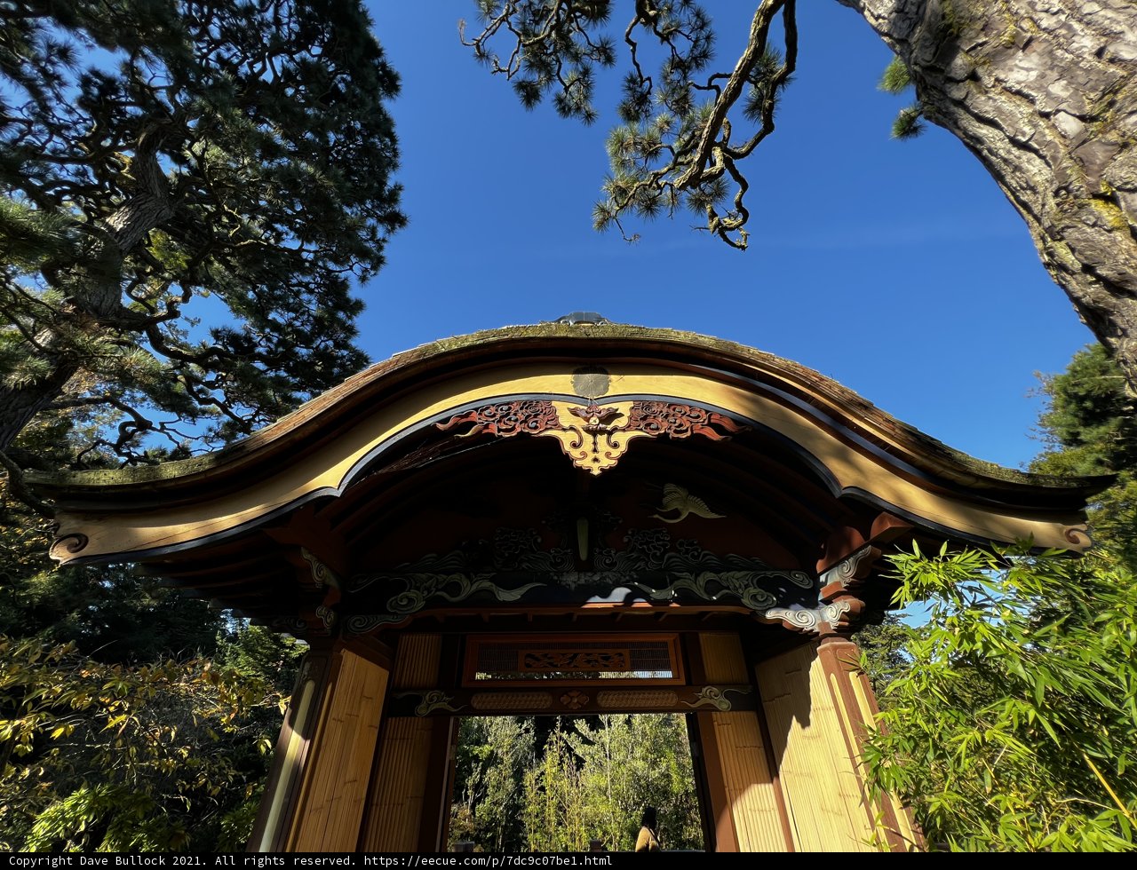 Wooden Shelter with Tree in the Background