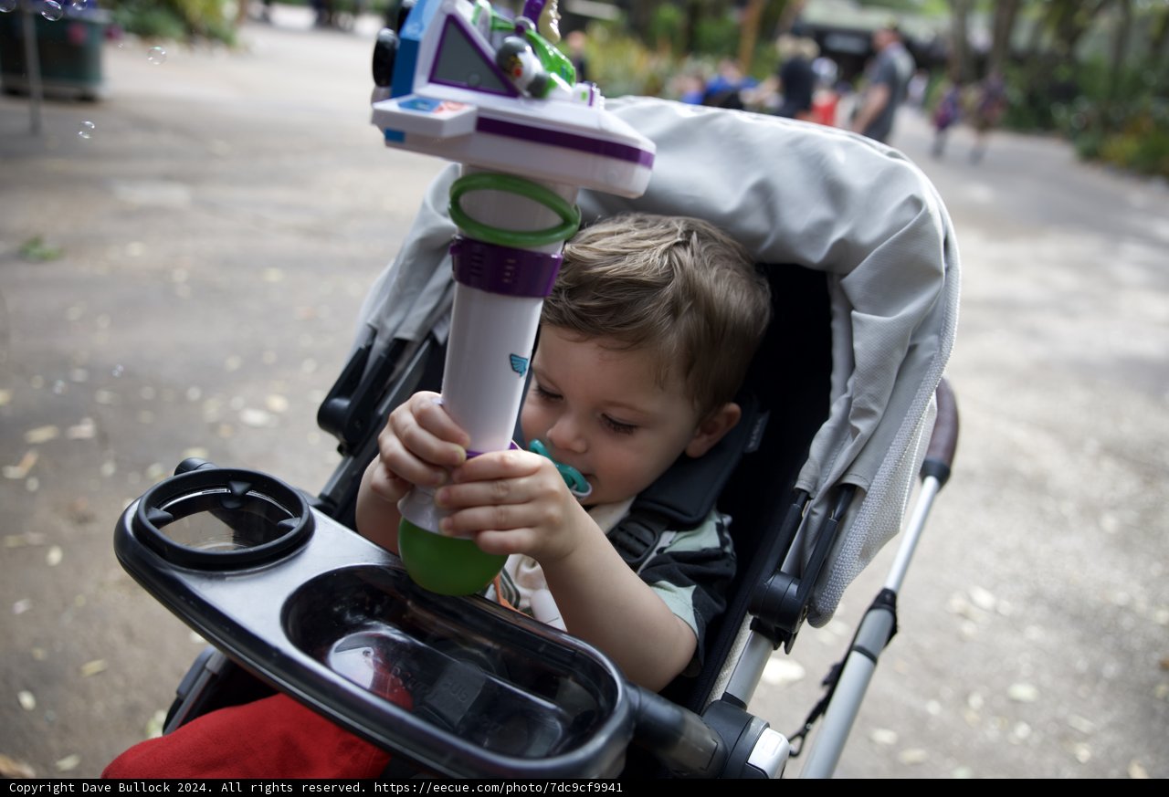 Magic Kingdom Adventure with Wesley