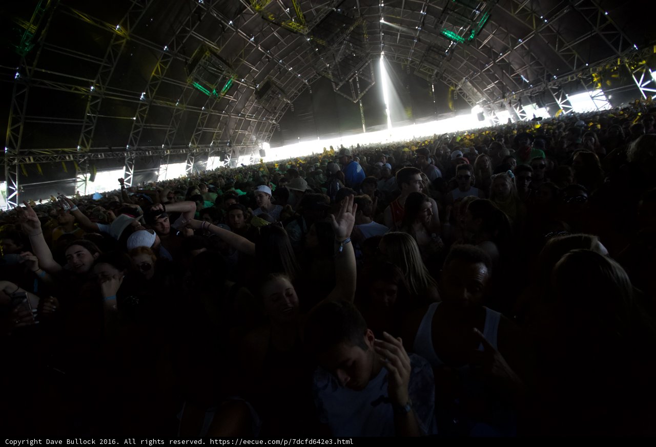Coachella Concert Crowd