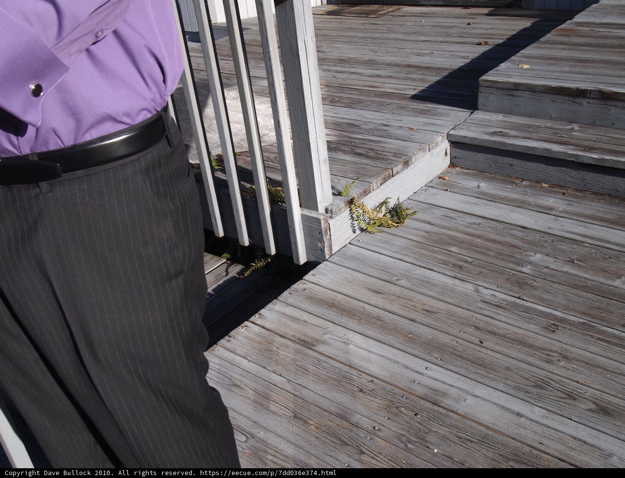 The Man and the Wooden Deck