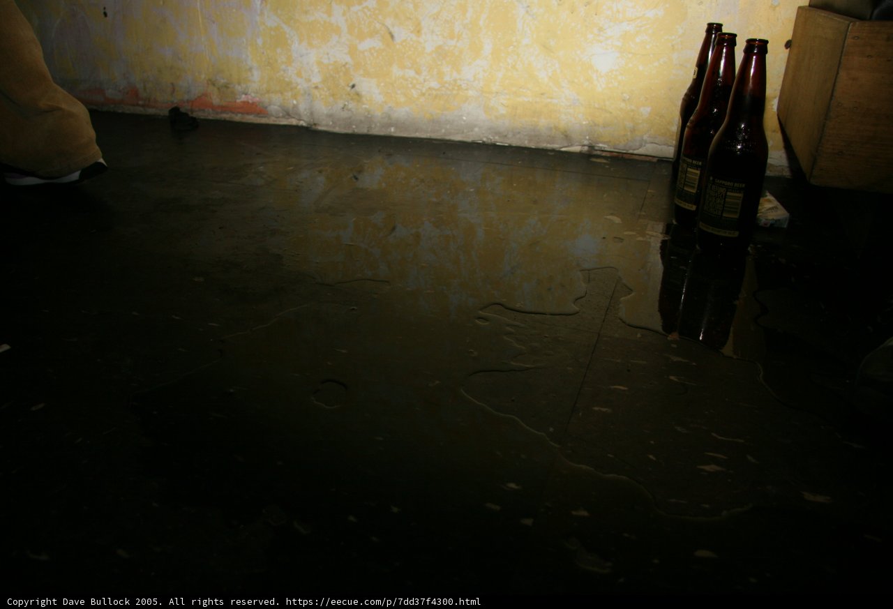 Lonely Brew