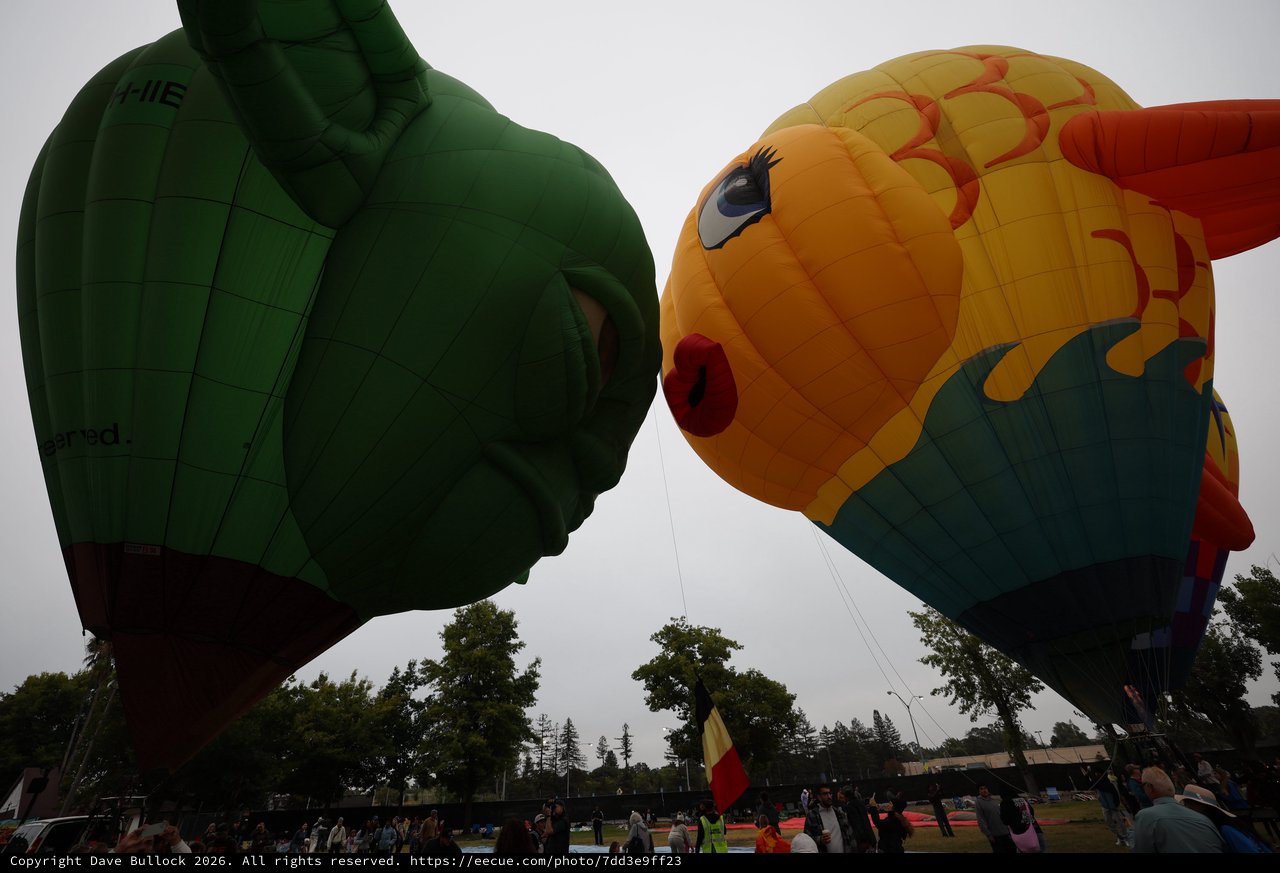 Two Giant Character Balloons Kiss at Hot Air Festival