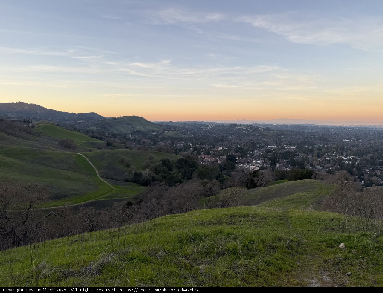 Rolling Hills at Sunset
