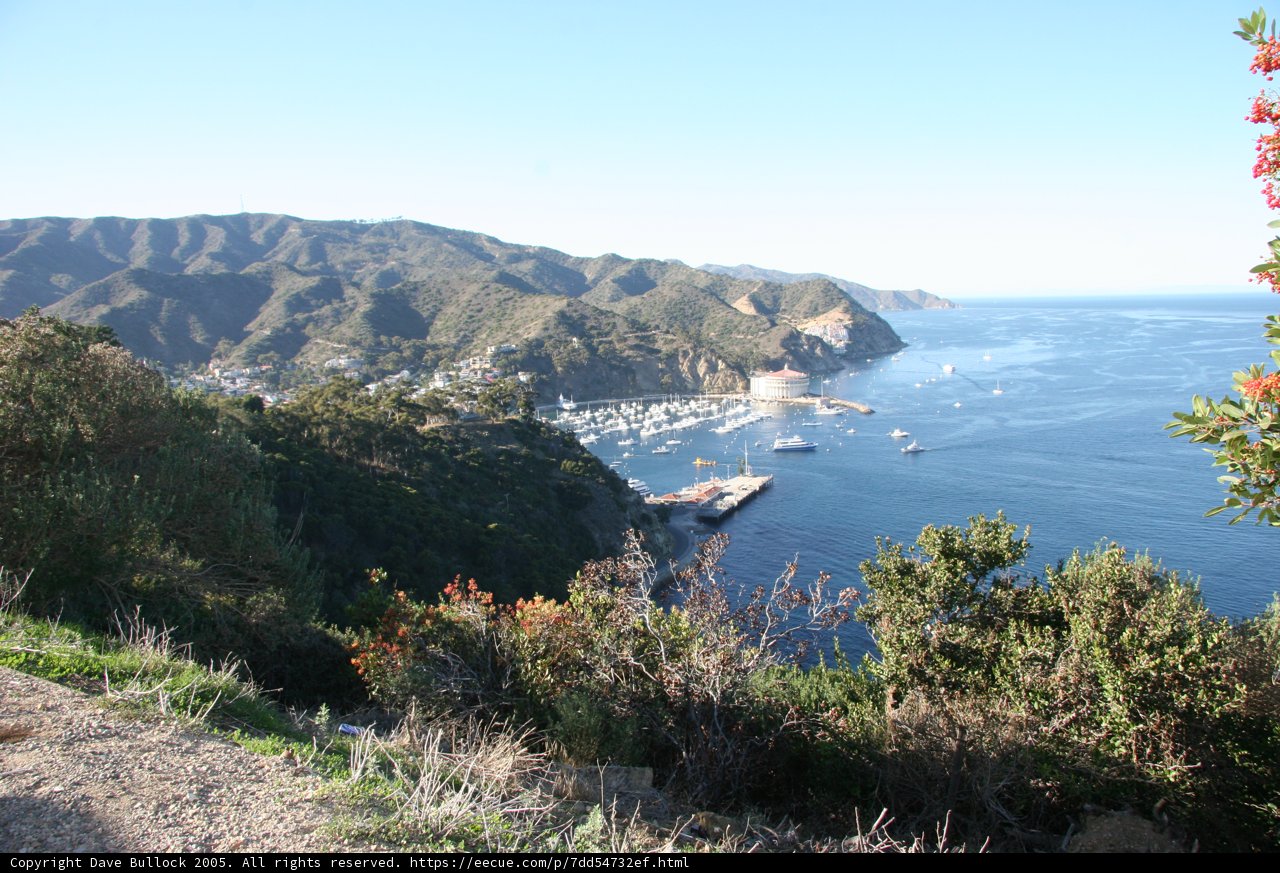 The Promontory View