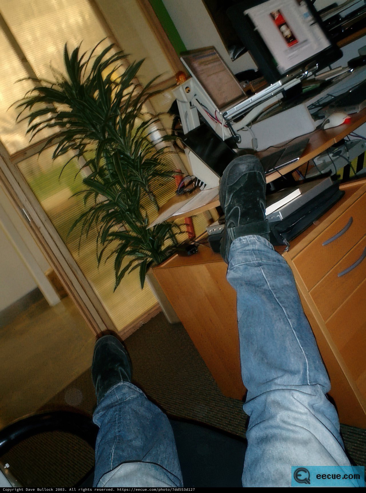 Desk Daze