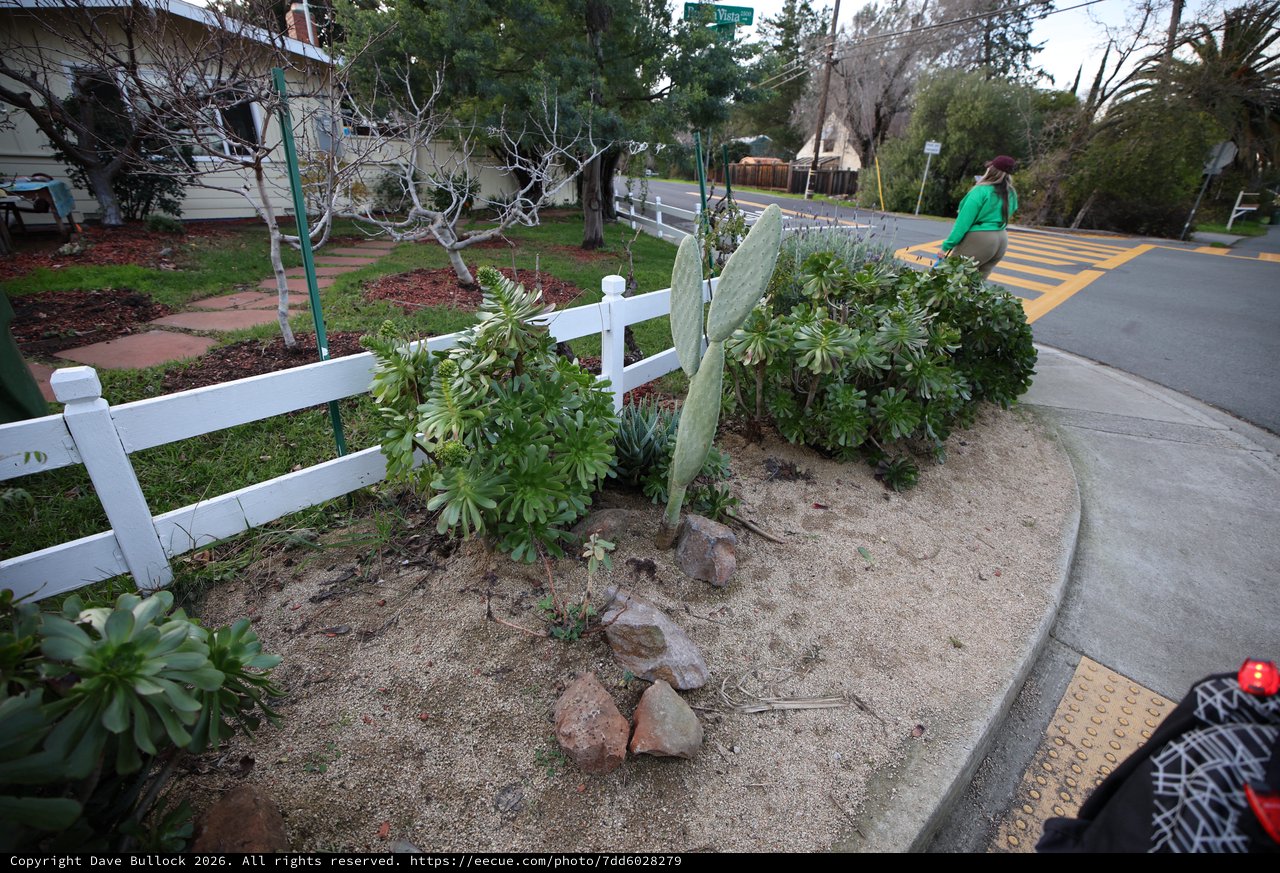 Memorial Garden Corner with White Picket Fence