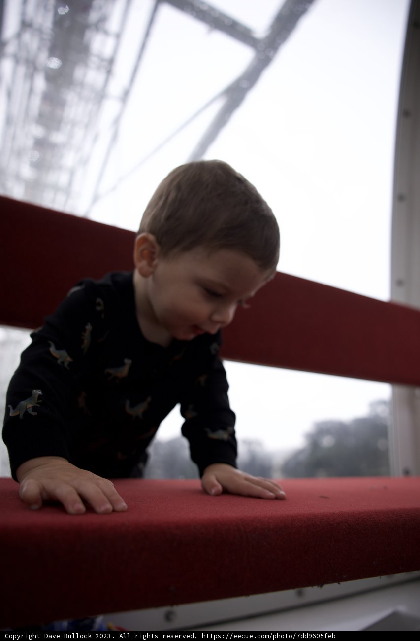 Childhood Wonder at Golden Gate Park