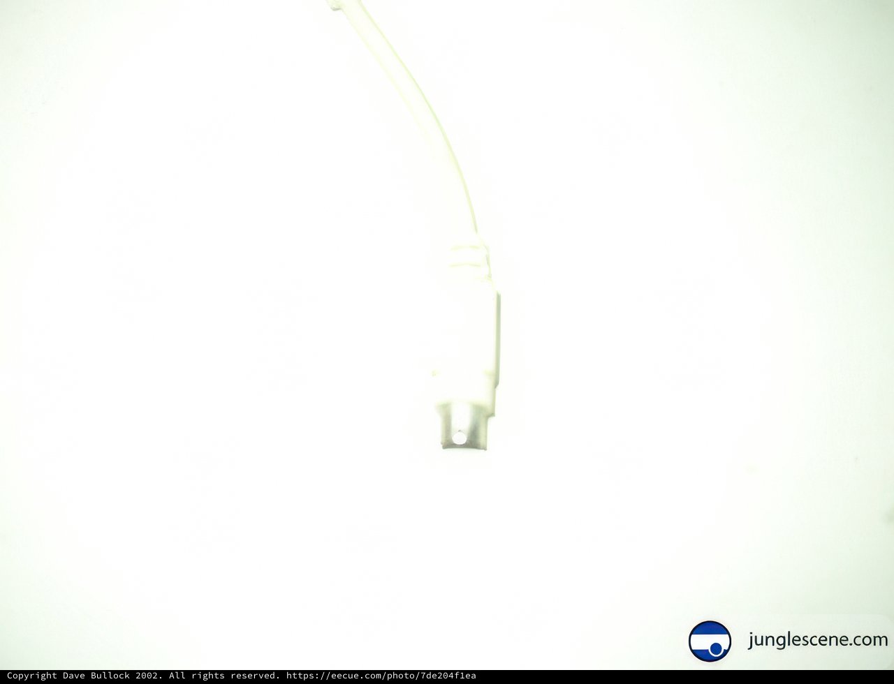 White Light Adapter