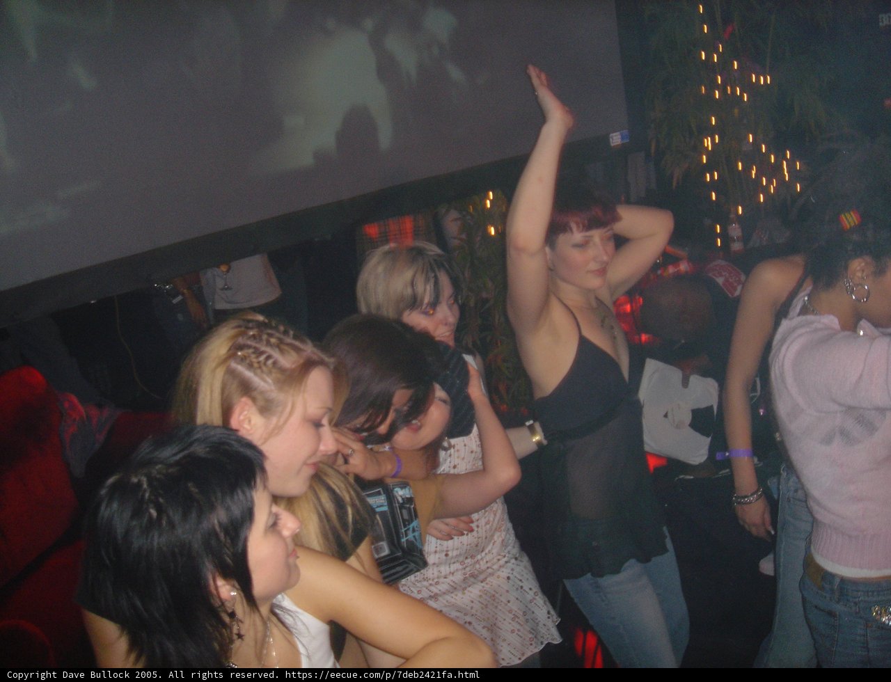 Nightclub Fun with Friends