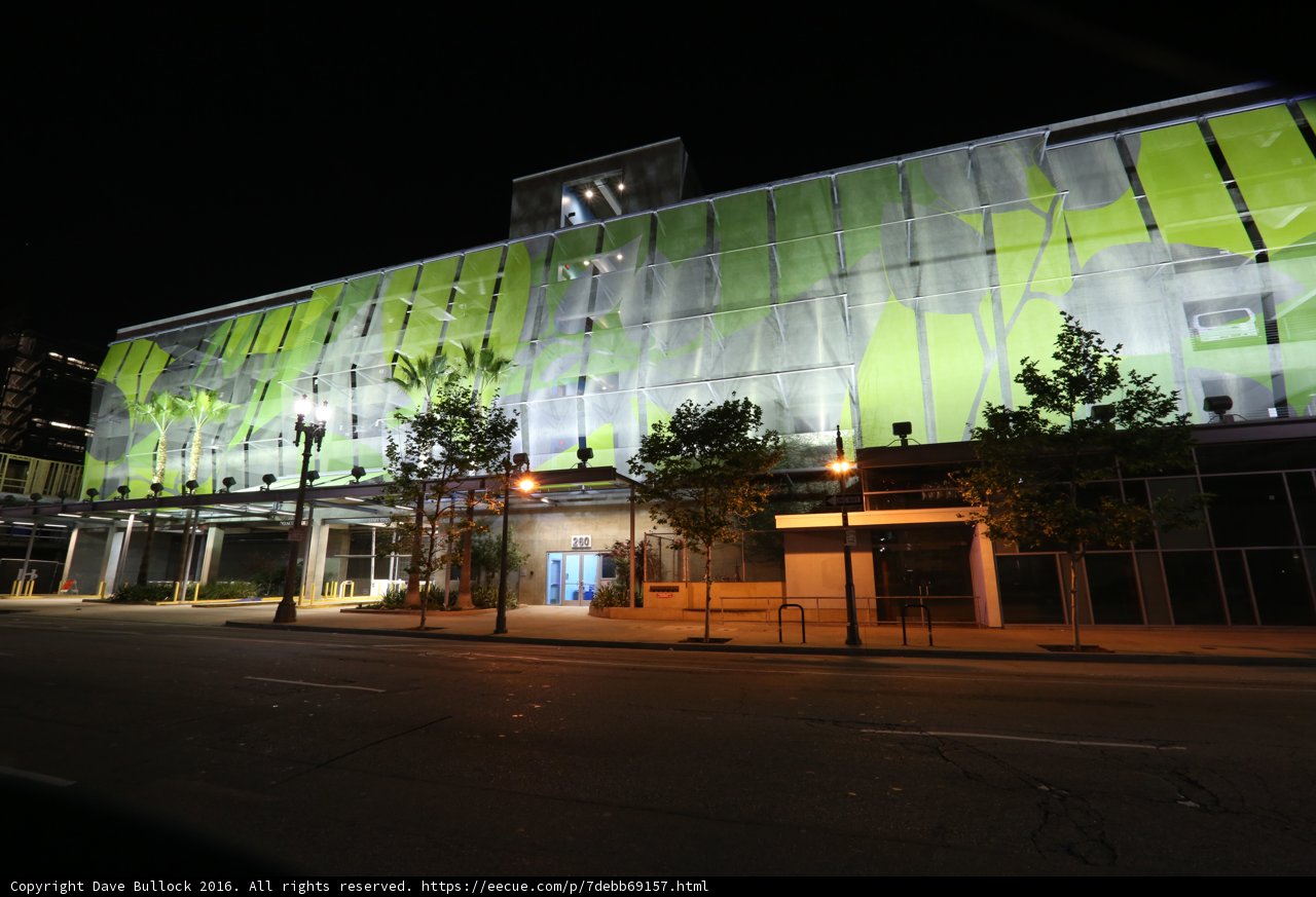 Bright Lights in the Urban Jungle