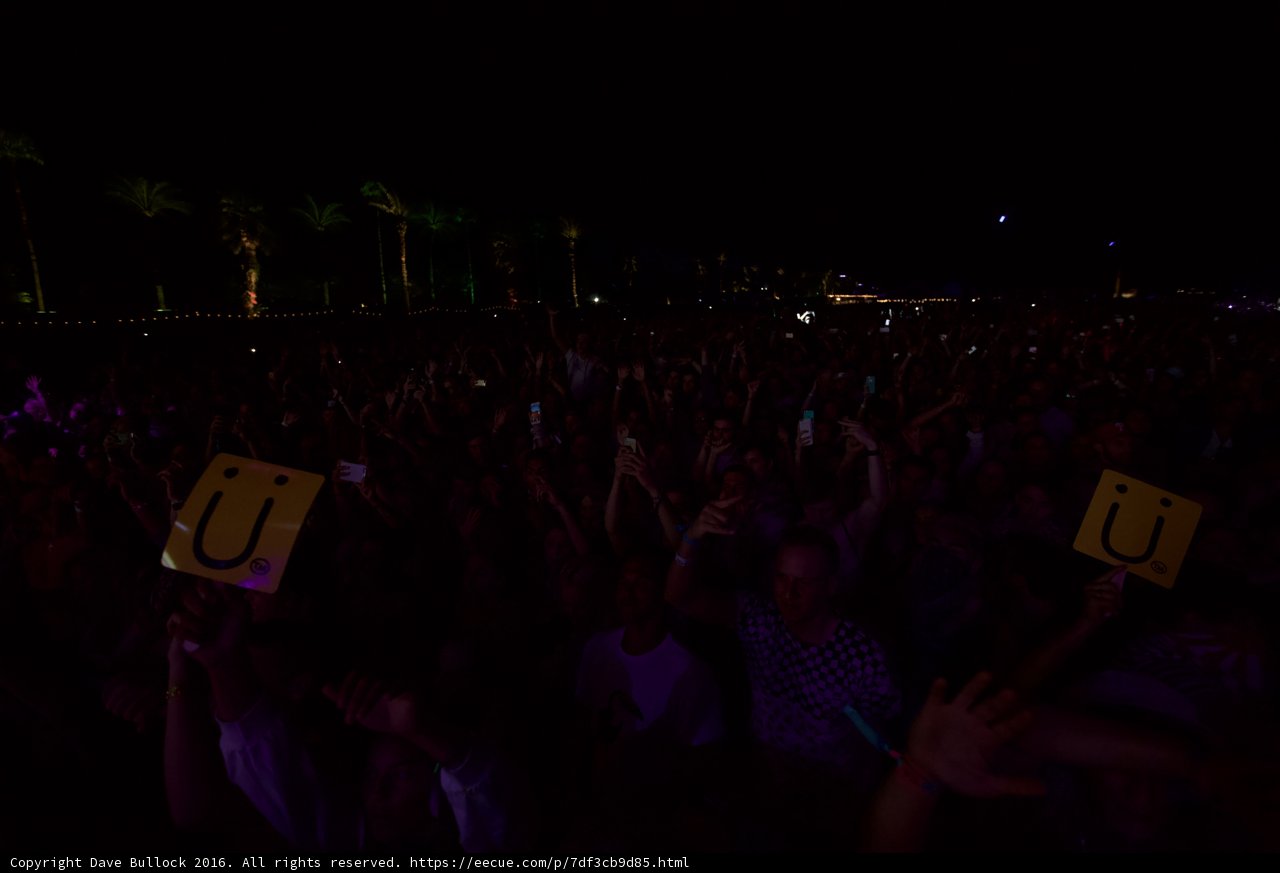 Crowd Goes Wild