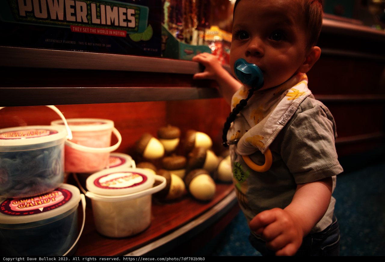 Magical Moments at Disneyland