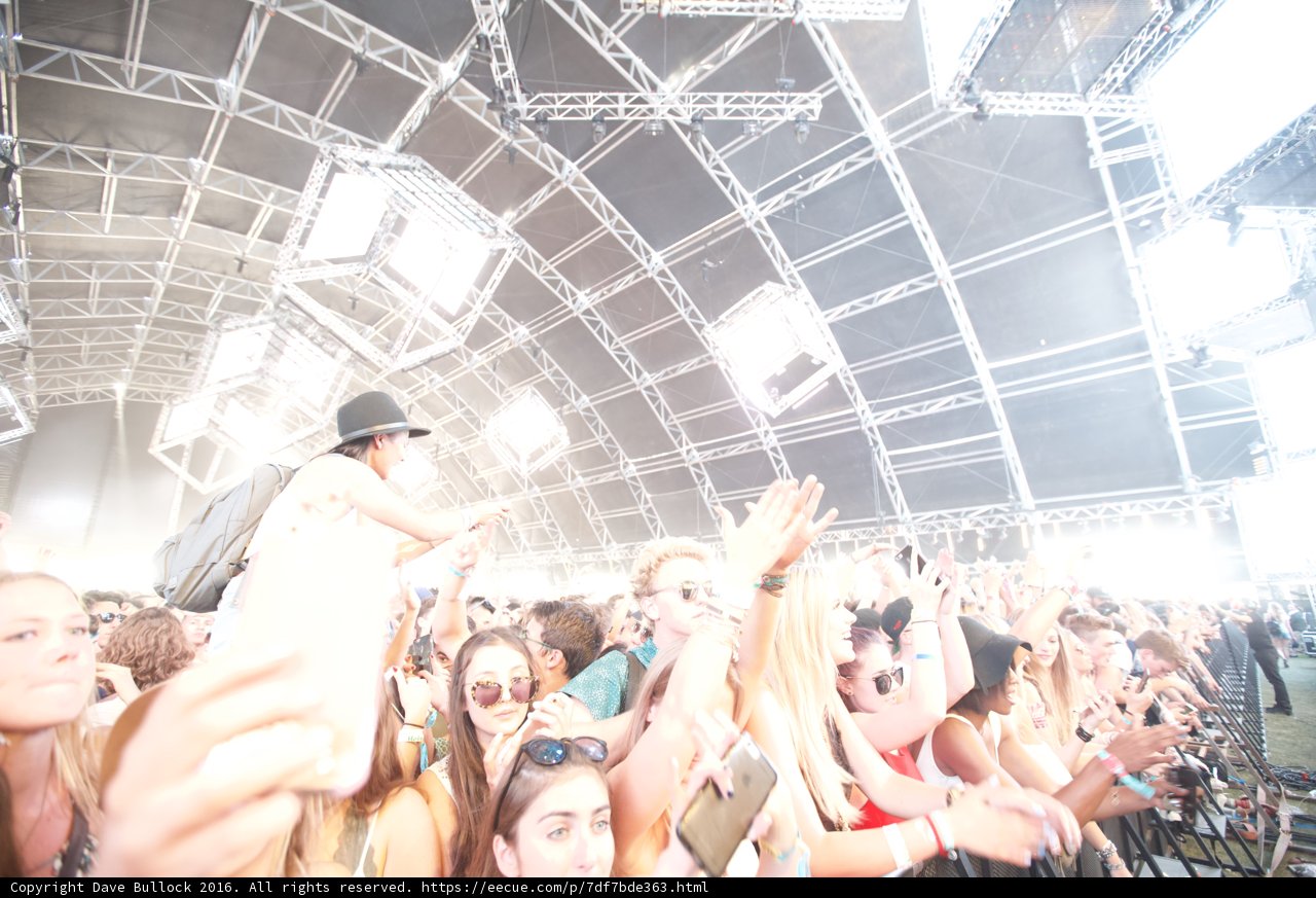Coachella 2016: The Music Festival Crowd