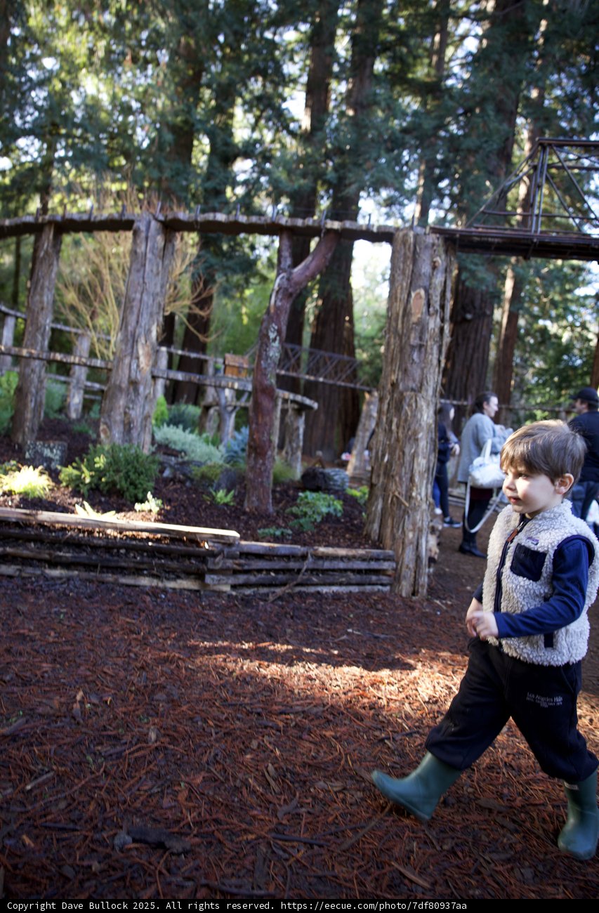Wandering Through Thistlewyck Grove