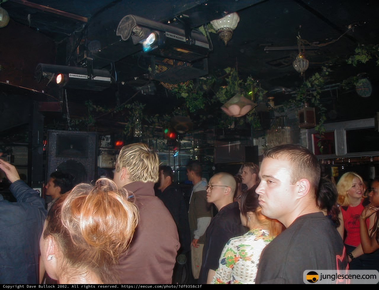 Nightlife Revelry at the Disco