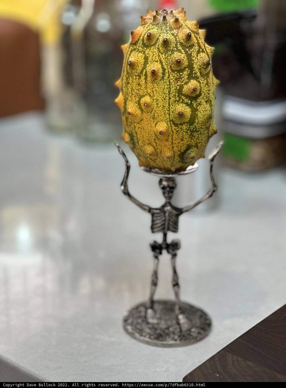 Skeleton's Harvest