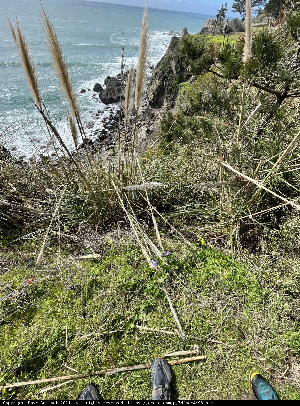 Cliffside Serenity