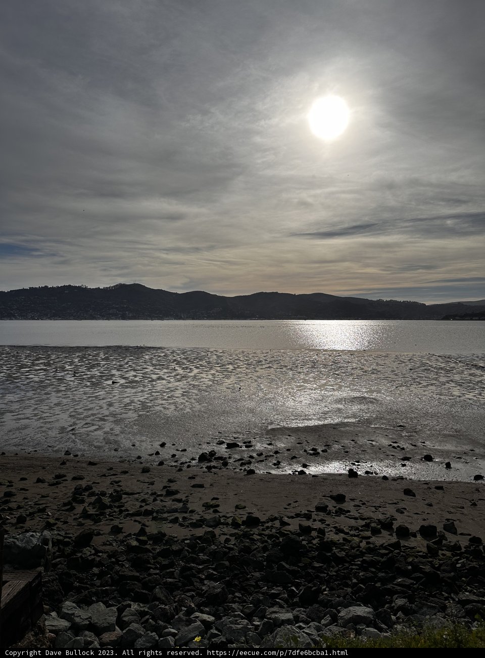 Sunny Serenity on the Lake