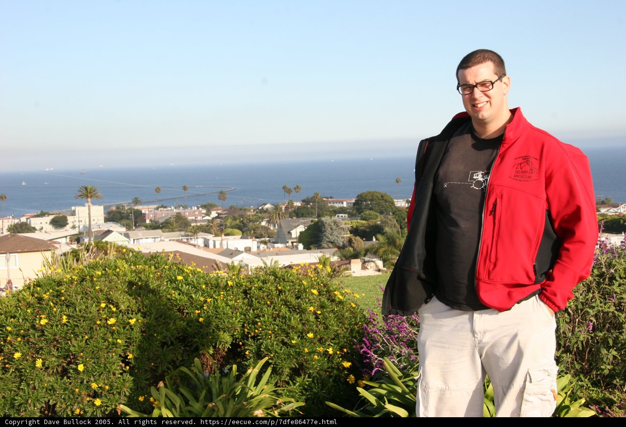 Overlooking the Ocean
