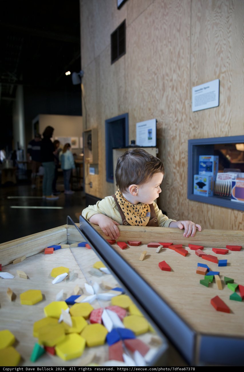 Discovering through Play: Wesley's Puzzle Adventure