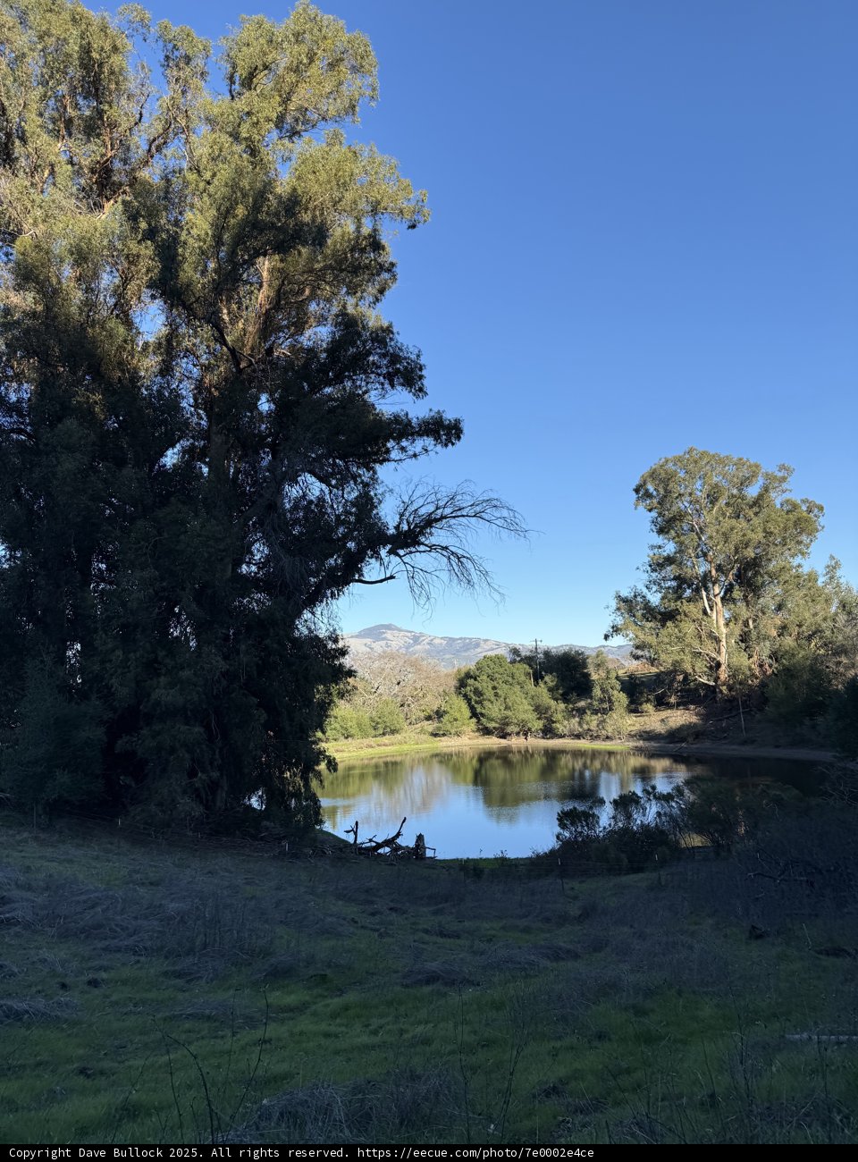 Tranquil Reflections in Las Trampas