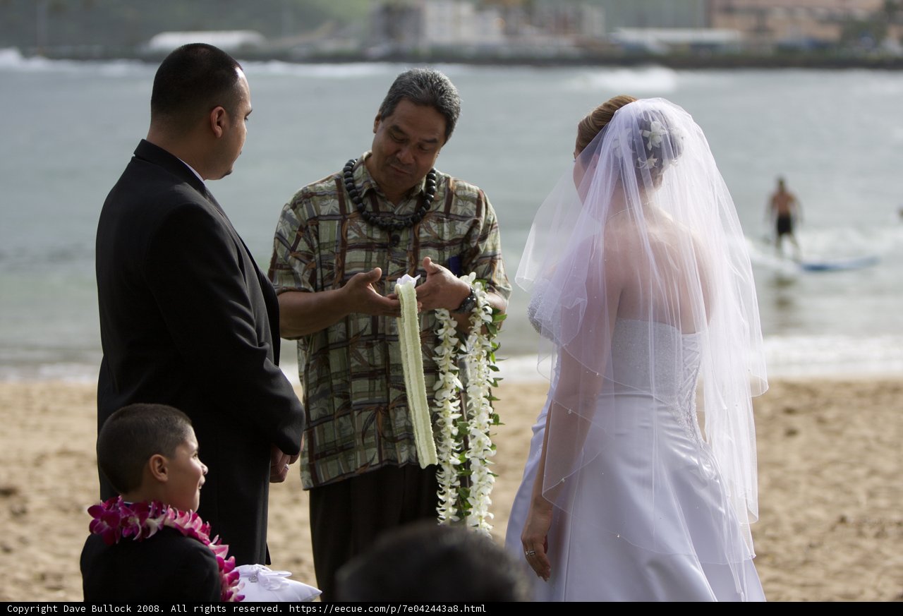 Beach Wedding Bliss