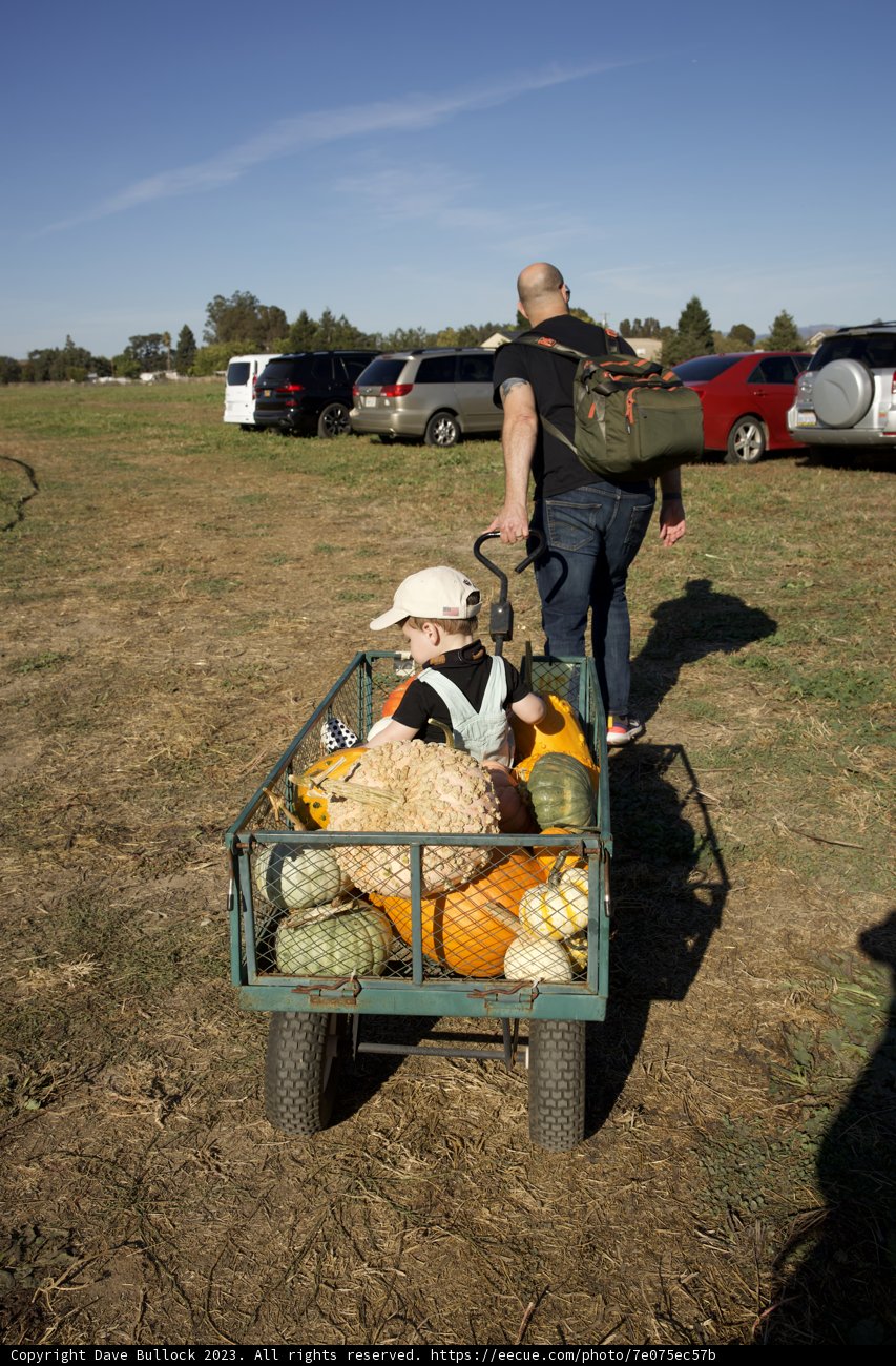 Father-Son Bonding at the Pumpkin Patch