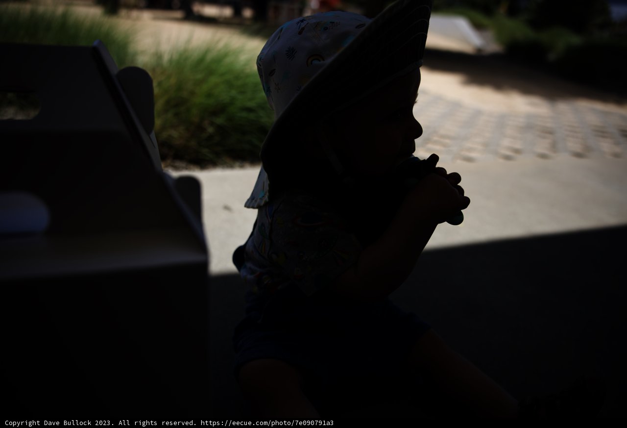 Baby's Day Out: Fun in the Sun