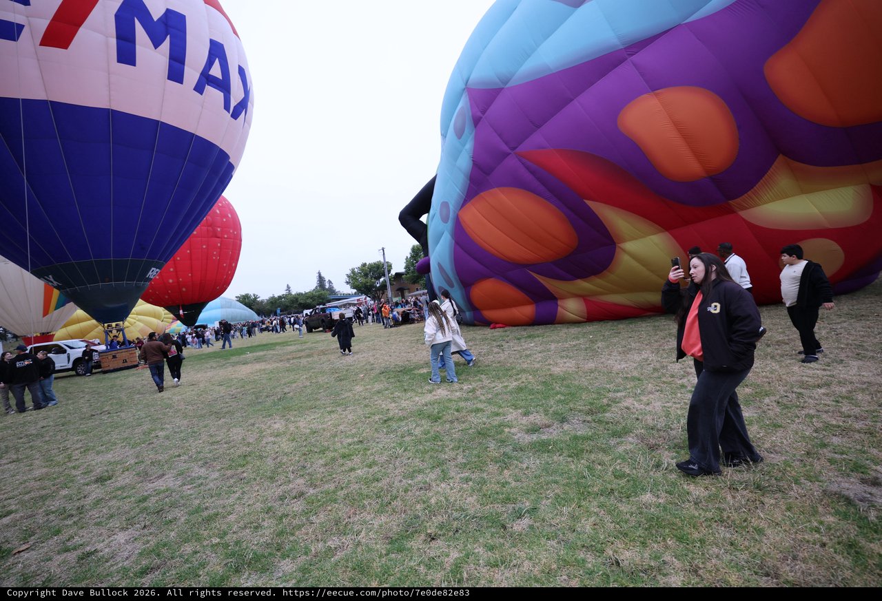Giant Balloons Inflate at Sonoma County Balloon Classic