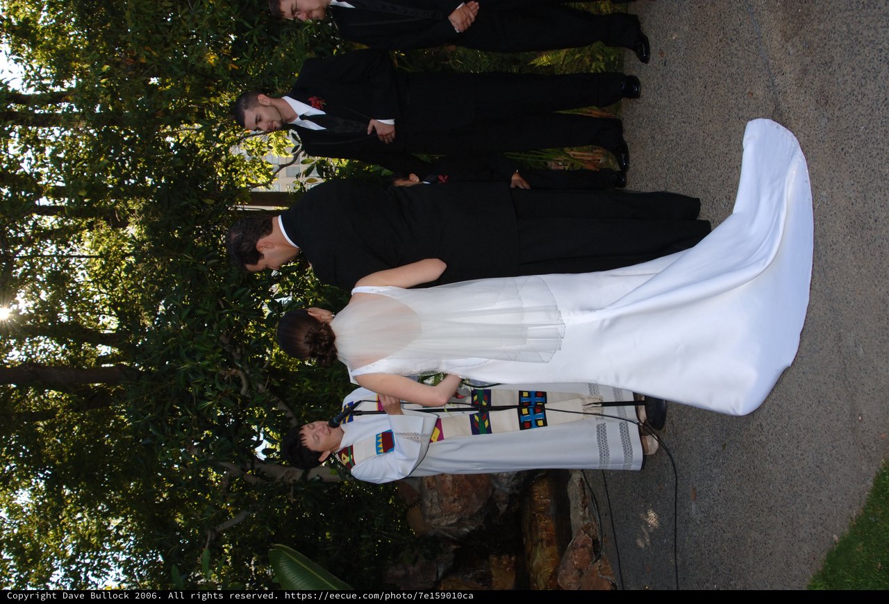 Outdoor Wedding Ceremony Vows Beneath Garden Canopy