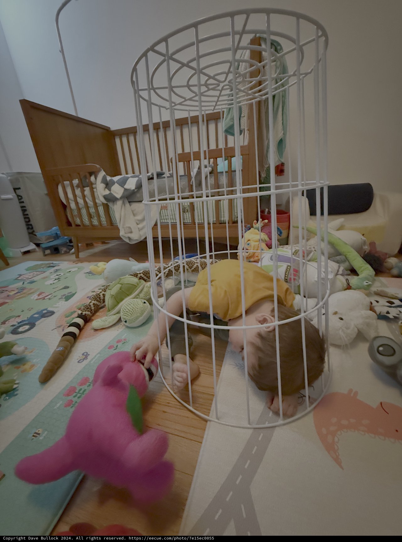 Baby Playing Inside White Wire Cage Toy