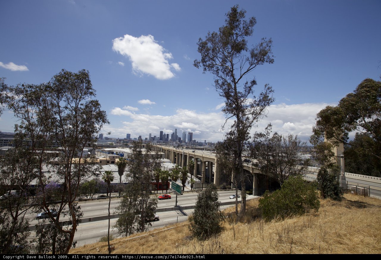 The Majestic City View