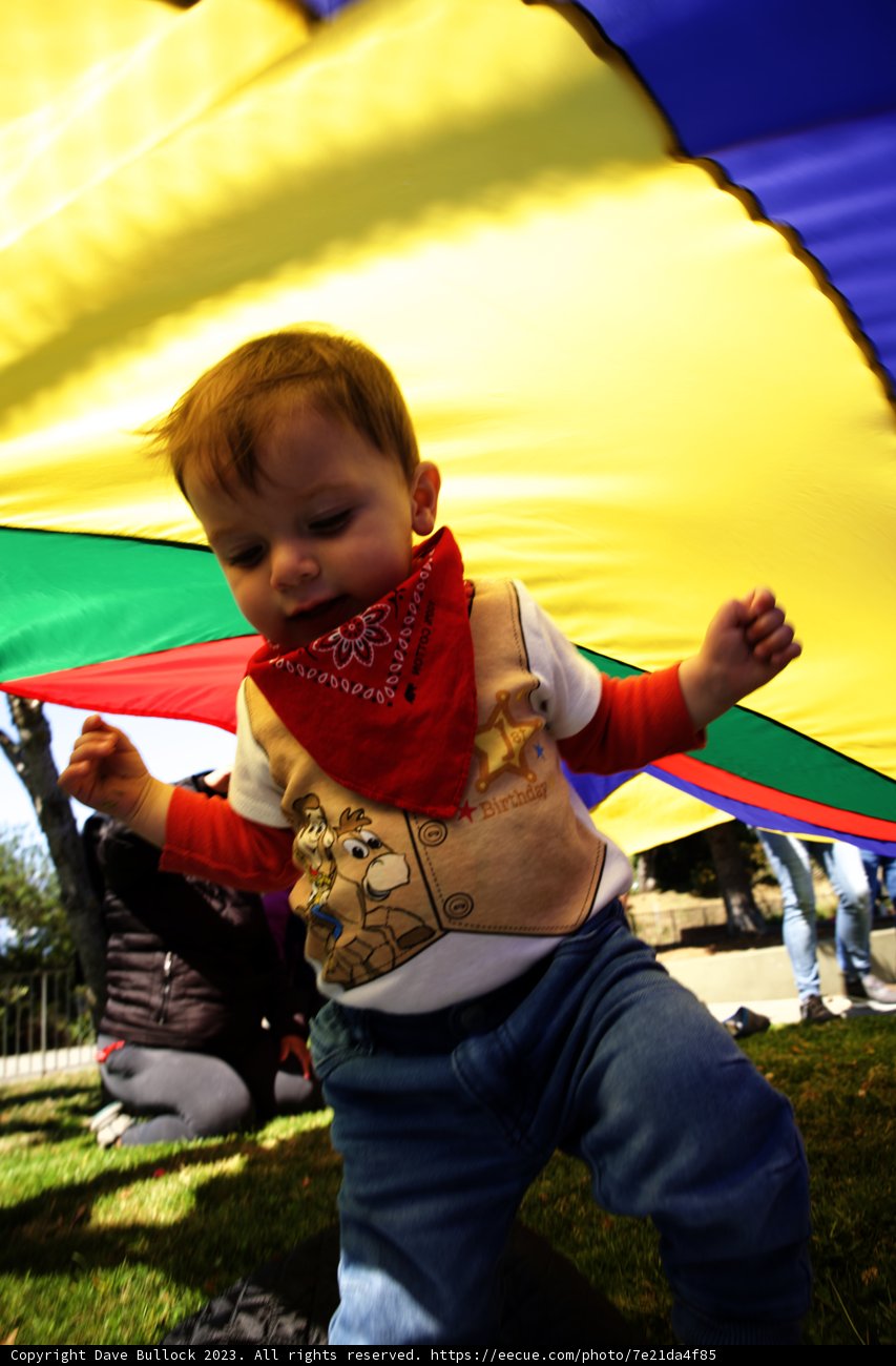 Wesley's Kite Adventure: A First Birthday to Remember