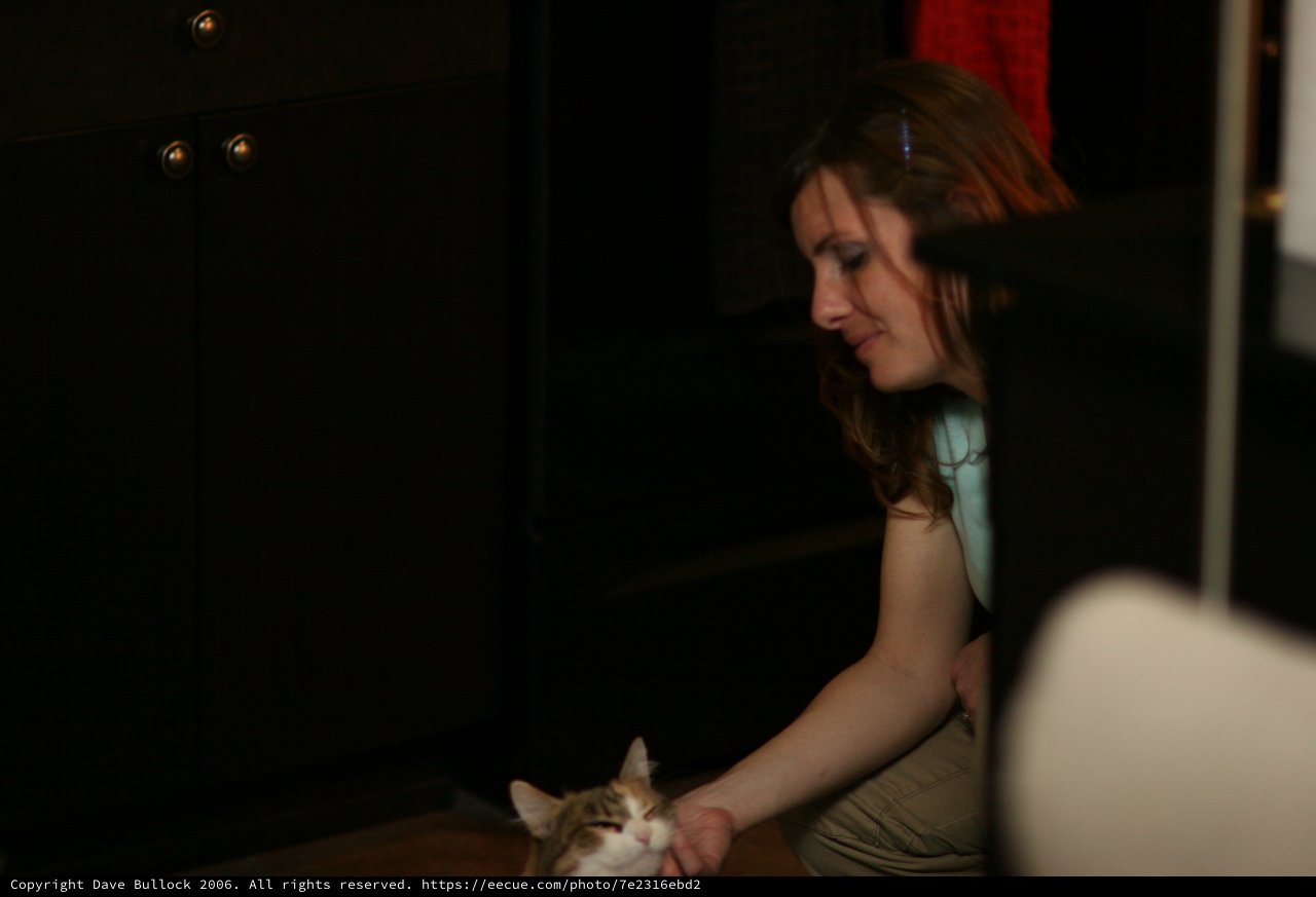 Woman Tenderly Petting a Sleepy Cat at Night