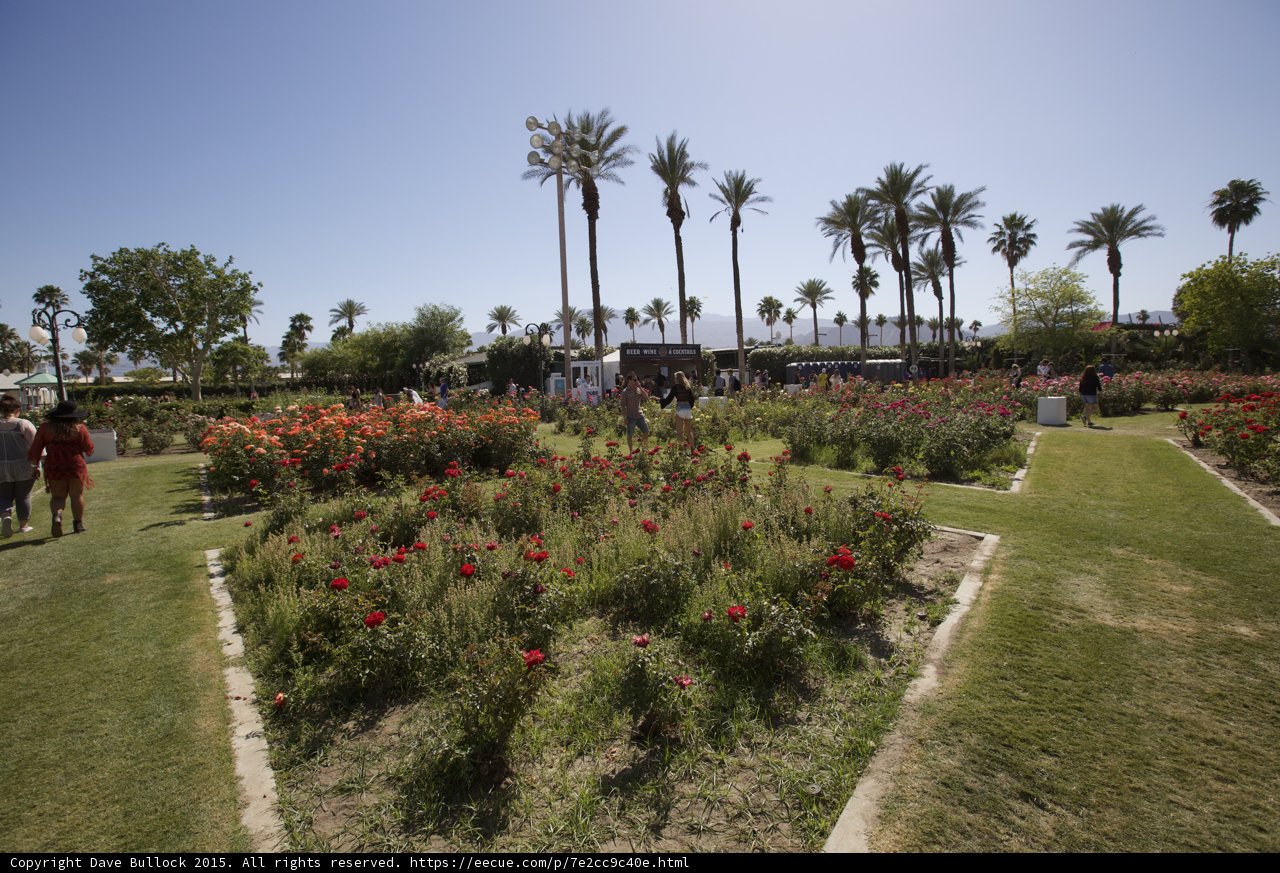 A Summer Walk in the Coachella Garden