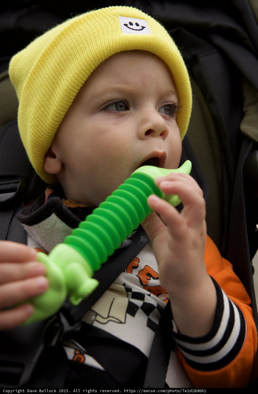 Tiny Explorer: Wesley's Dental Discovery