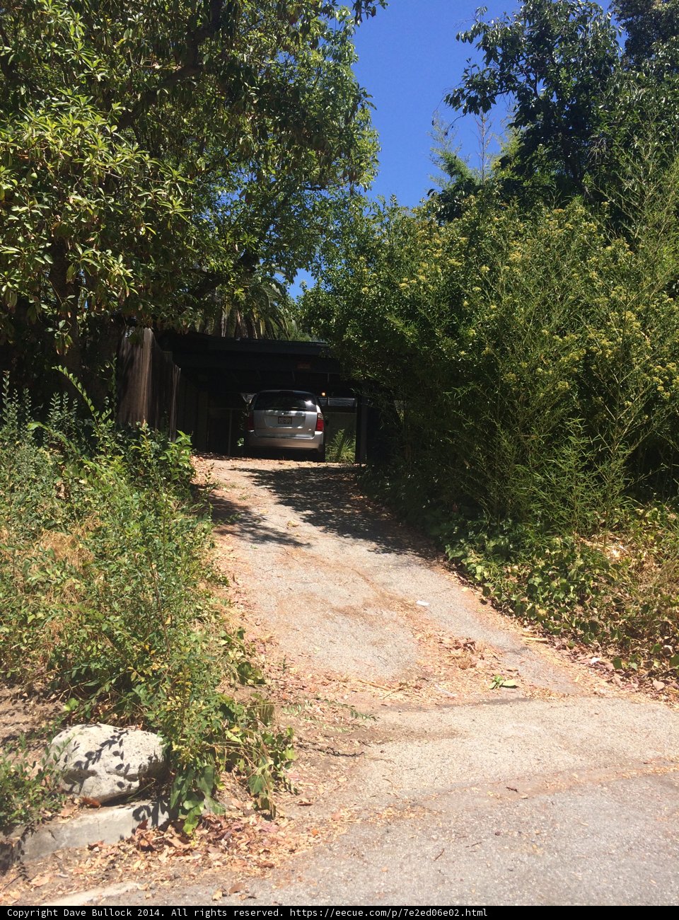 Parked Car in Woods