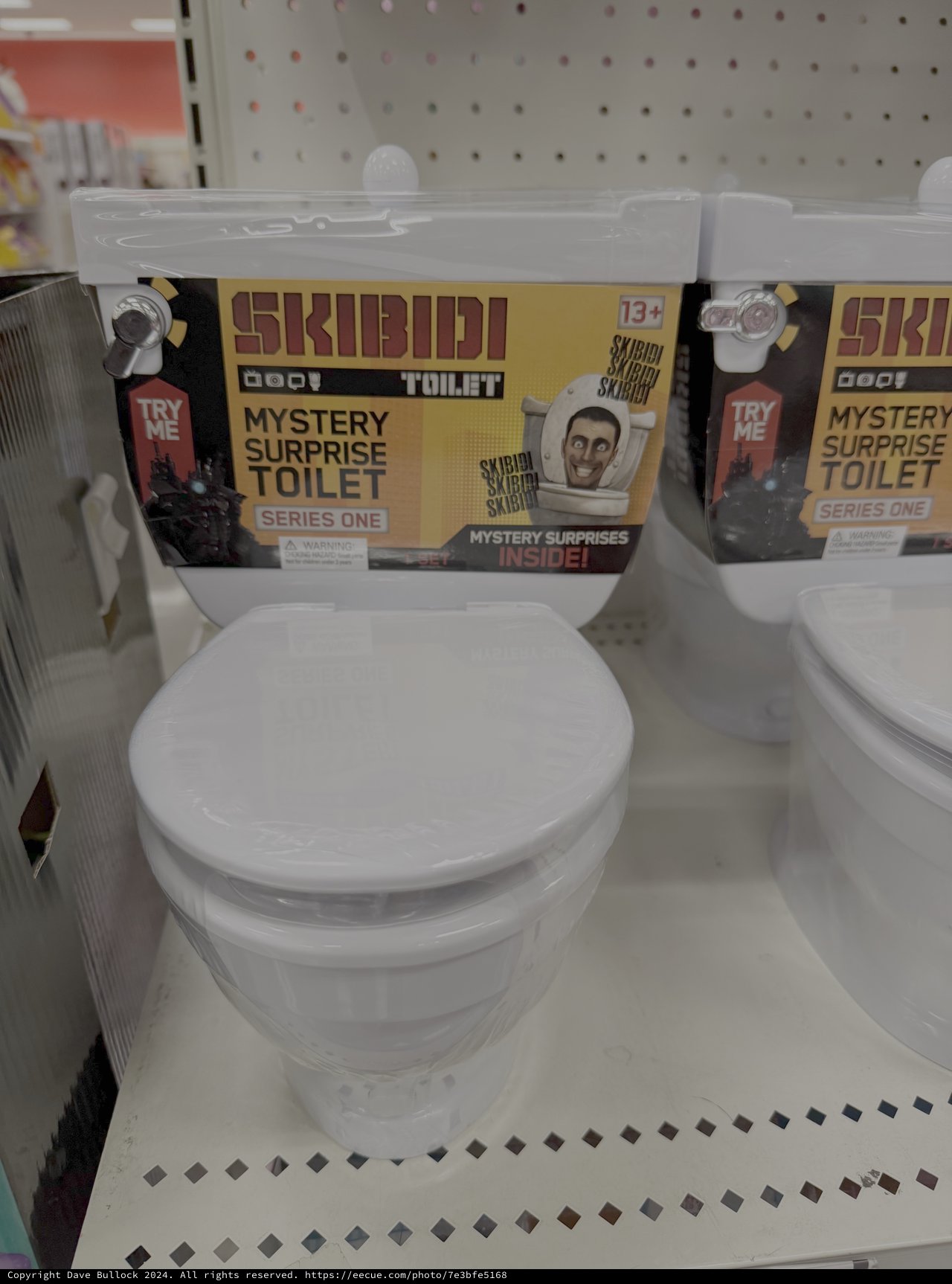 Skibidi Toilet Mystery Surprise Toy Display