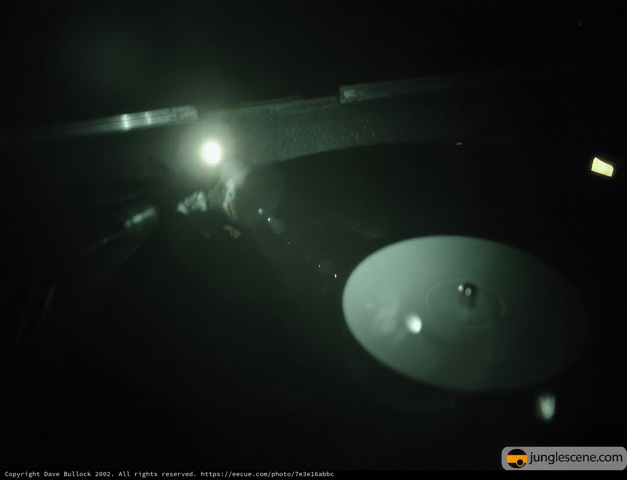 Spinning in the Moonlight