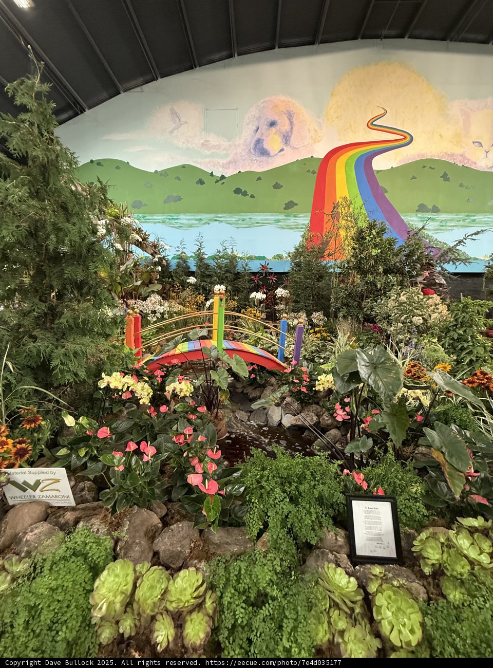 Colorful Oasis in Santa Rosa