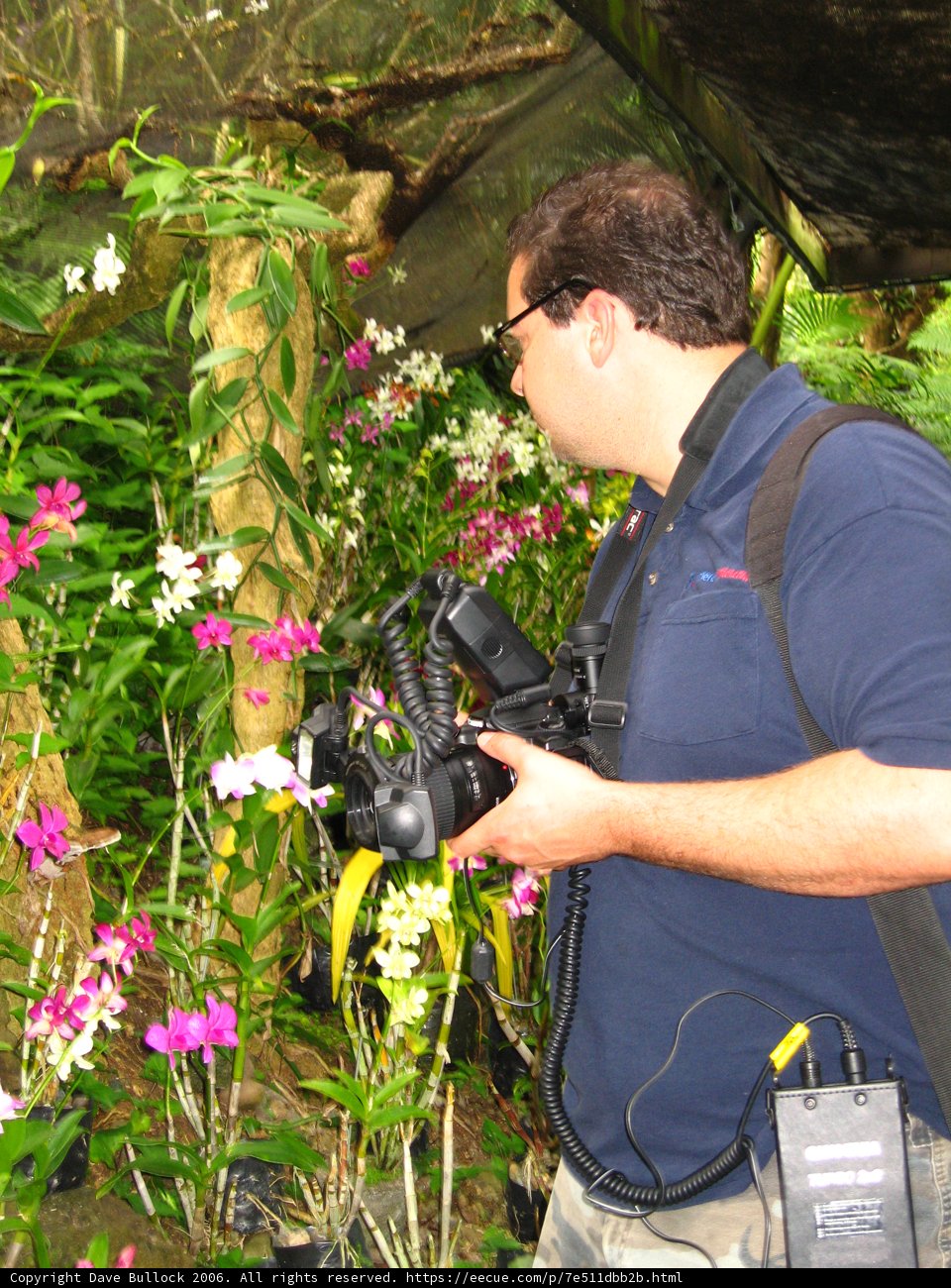 Capturing the Beauty of Nature