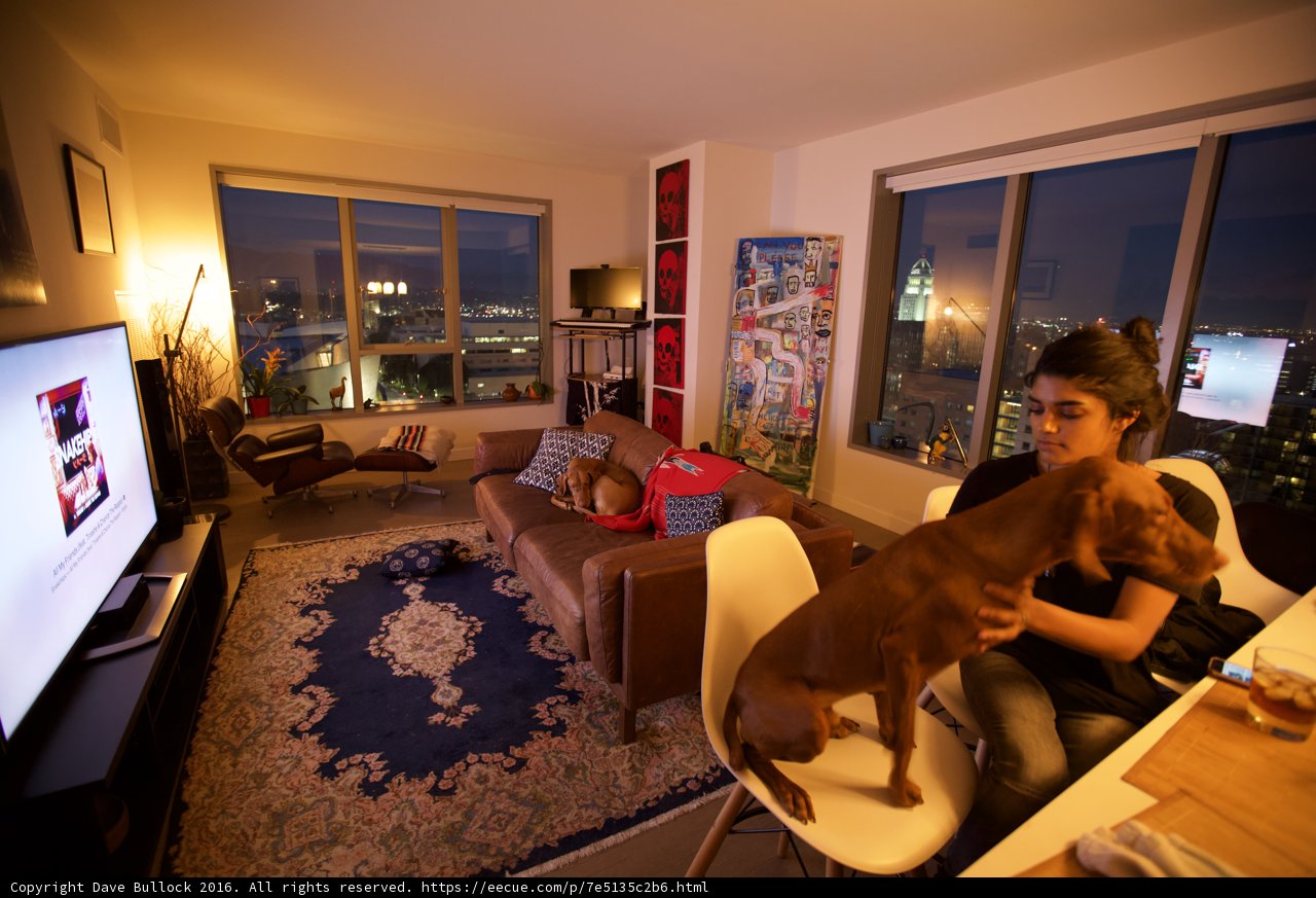 Relaxing with my furry friend