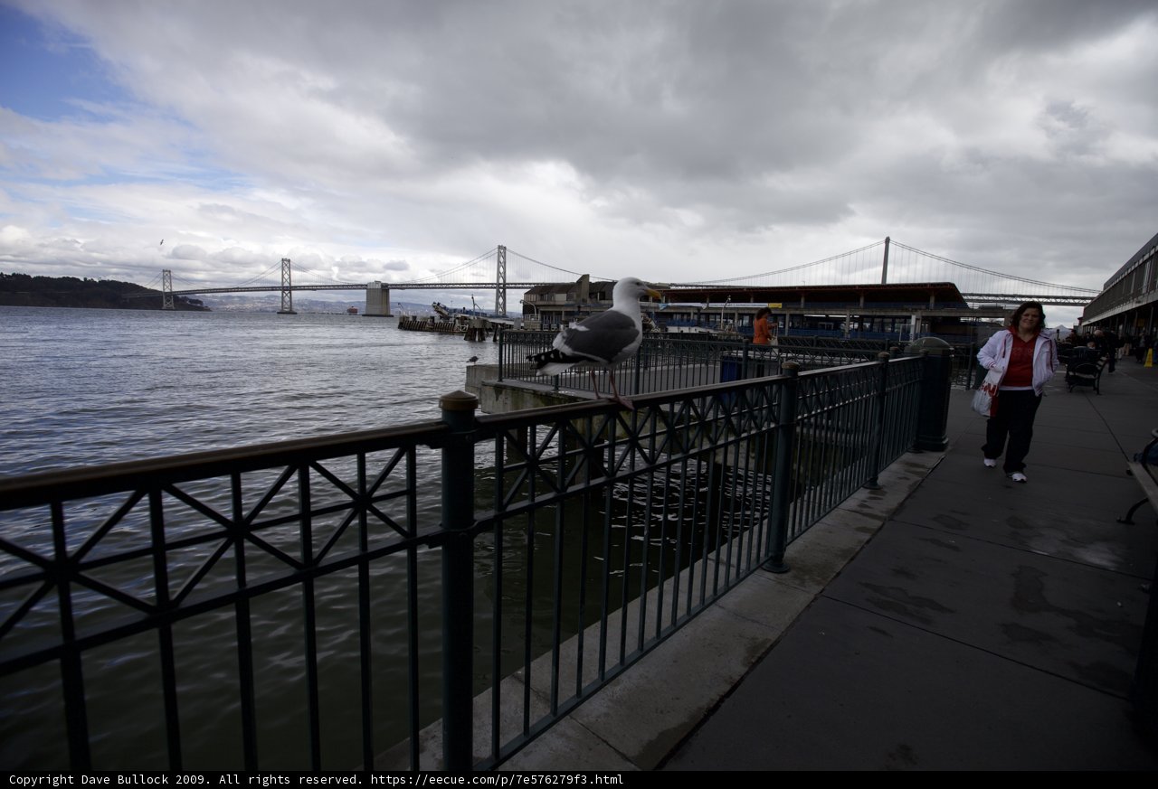 Strolling by the Bay Bridge