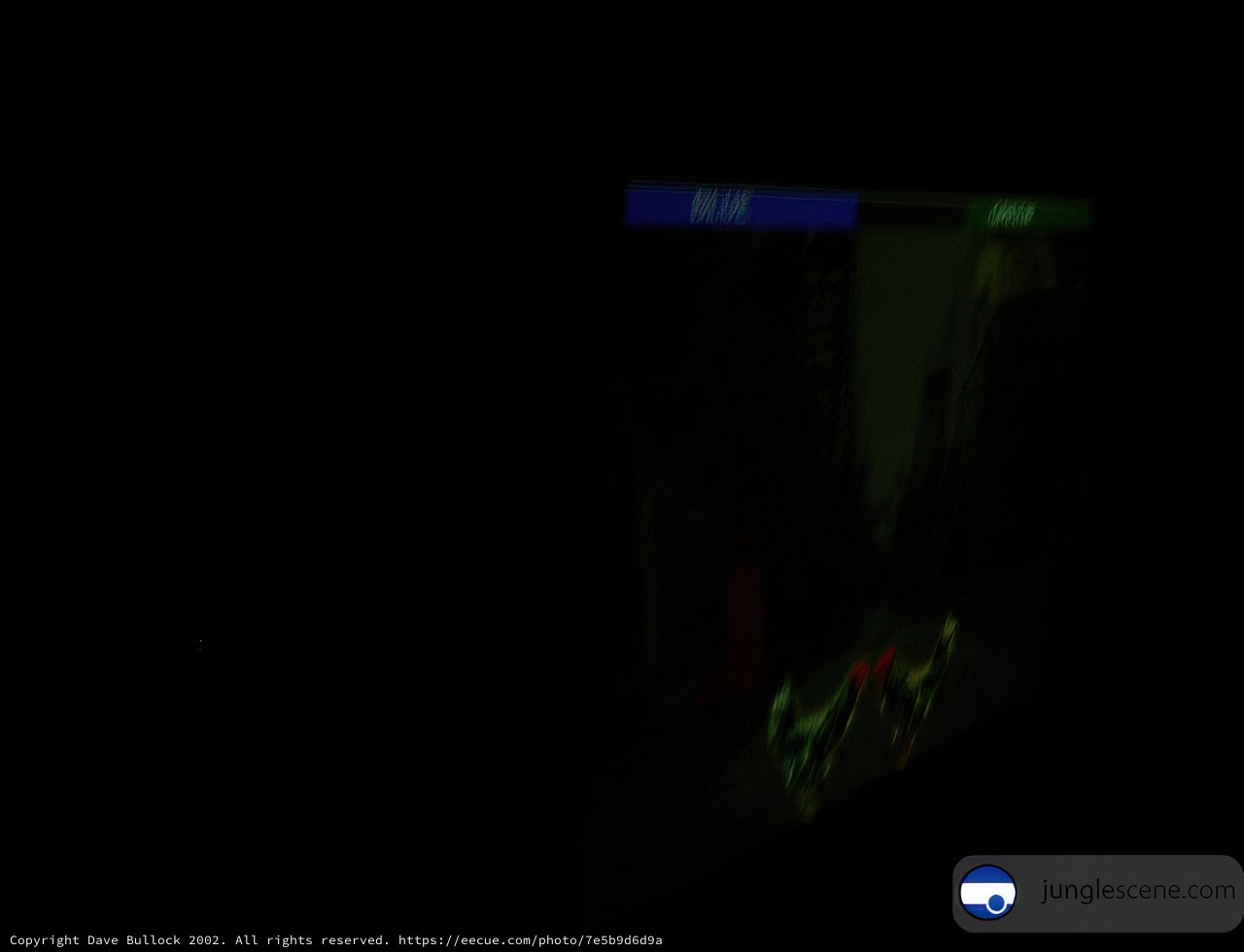 Gaming in the Dark