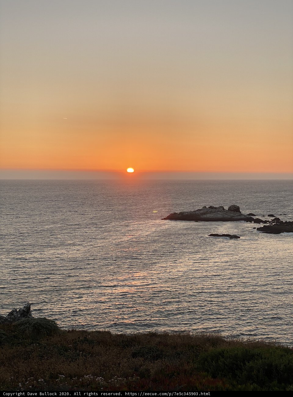 Golden Horizon