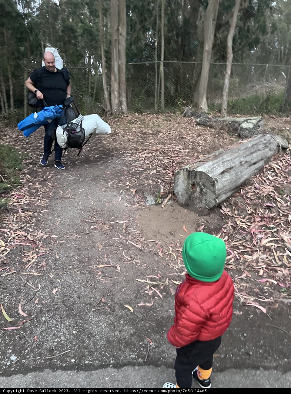 A Nature Walk in Presidio