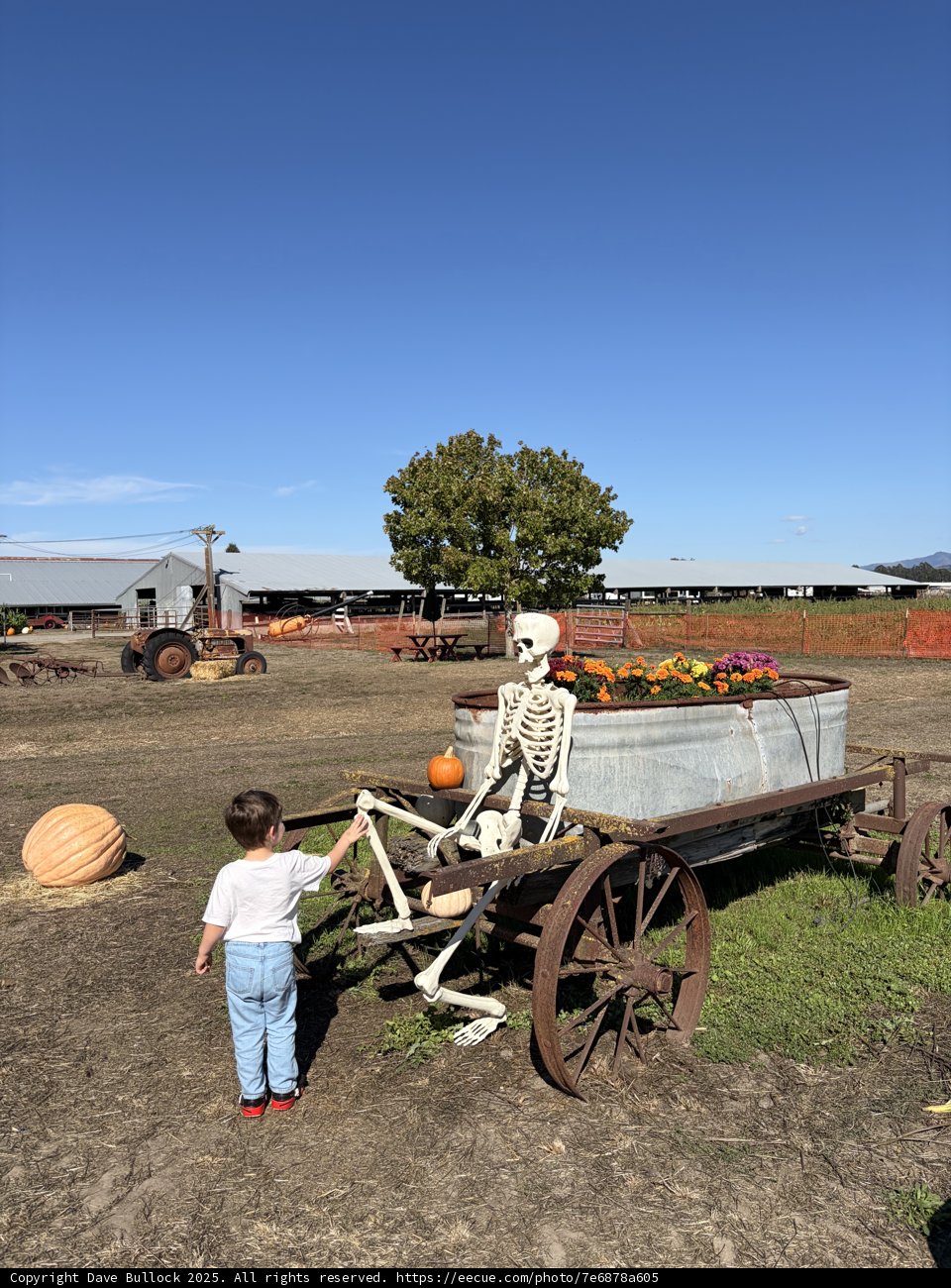 Autumn Adventures in the Countryside