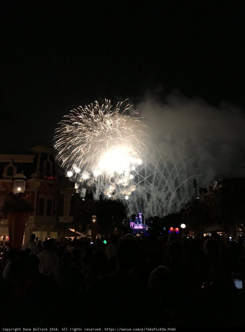 Disneyland Fireworks Display