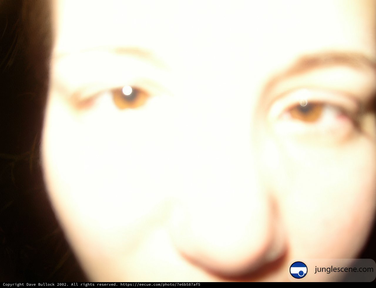 The Alluring Gaze of a Brown-Eyed Beauty