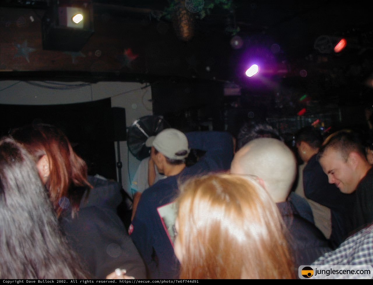 Nightlife at the Club